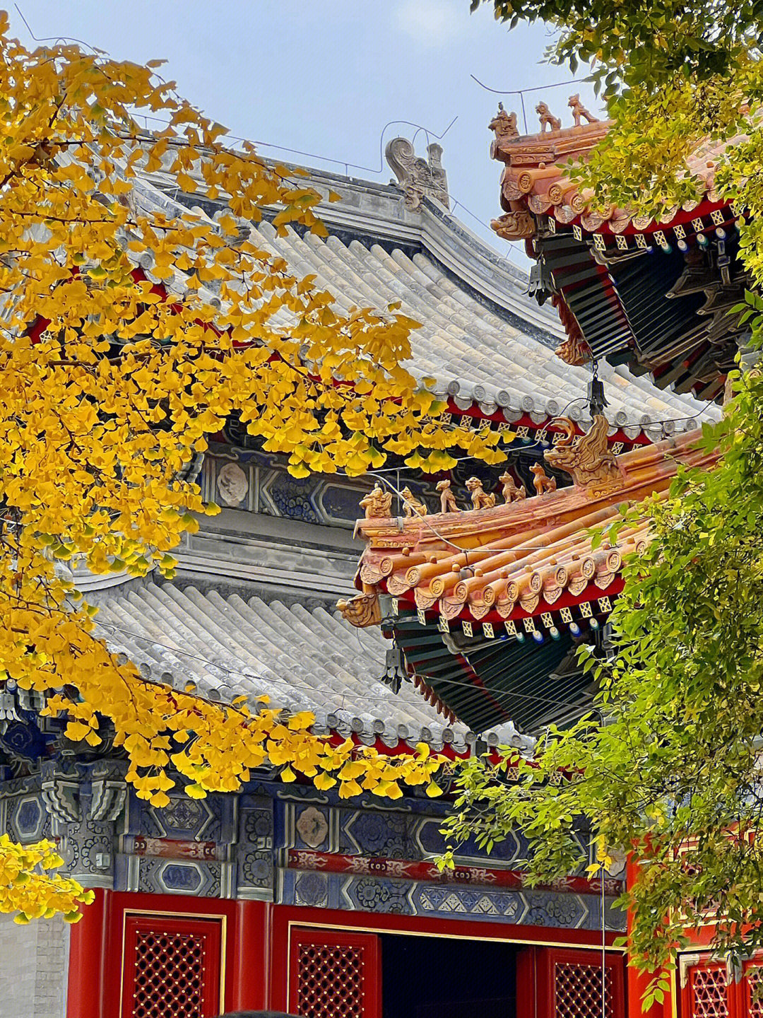 京西景园图片