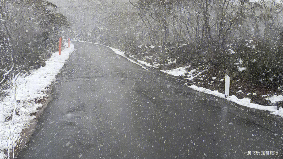 平和大芹山下雪图片