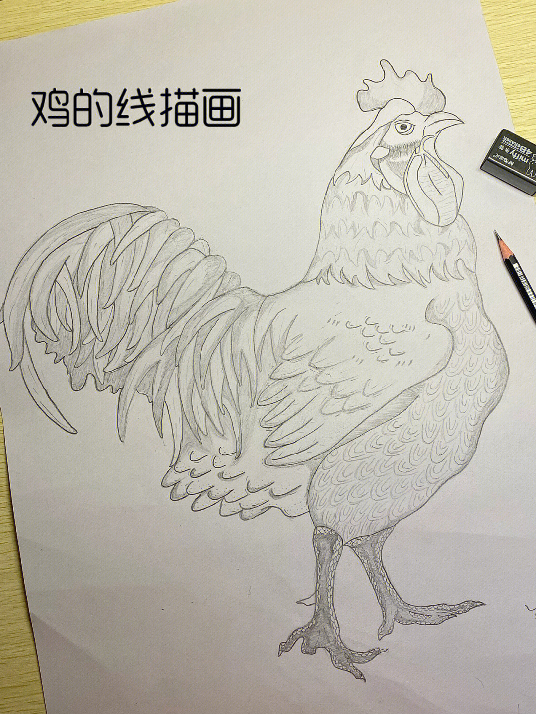 十二生肖线描画鸡图片