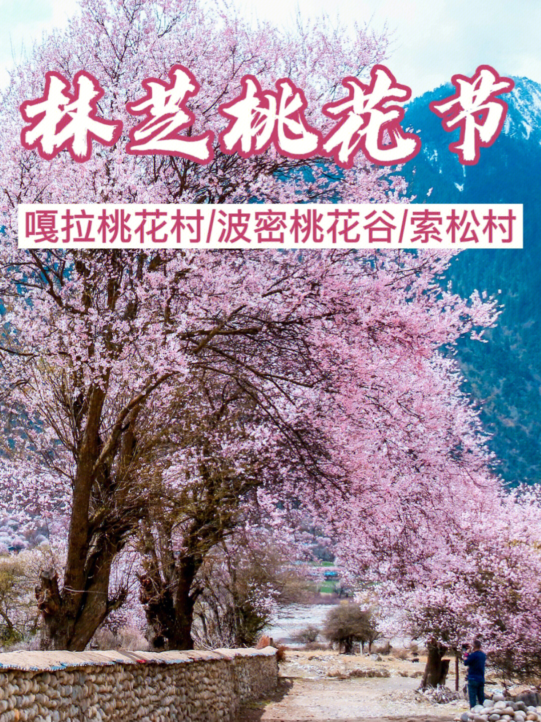 2022林芝桃花节详细路线攻略拉萨玩法