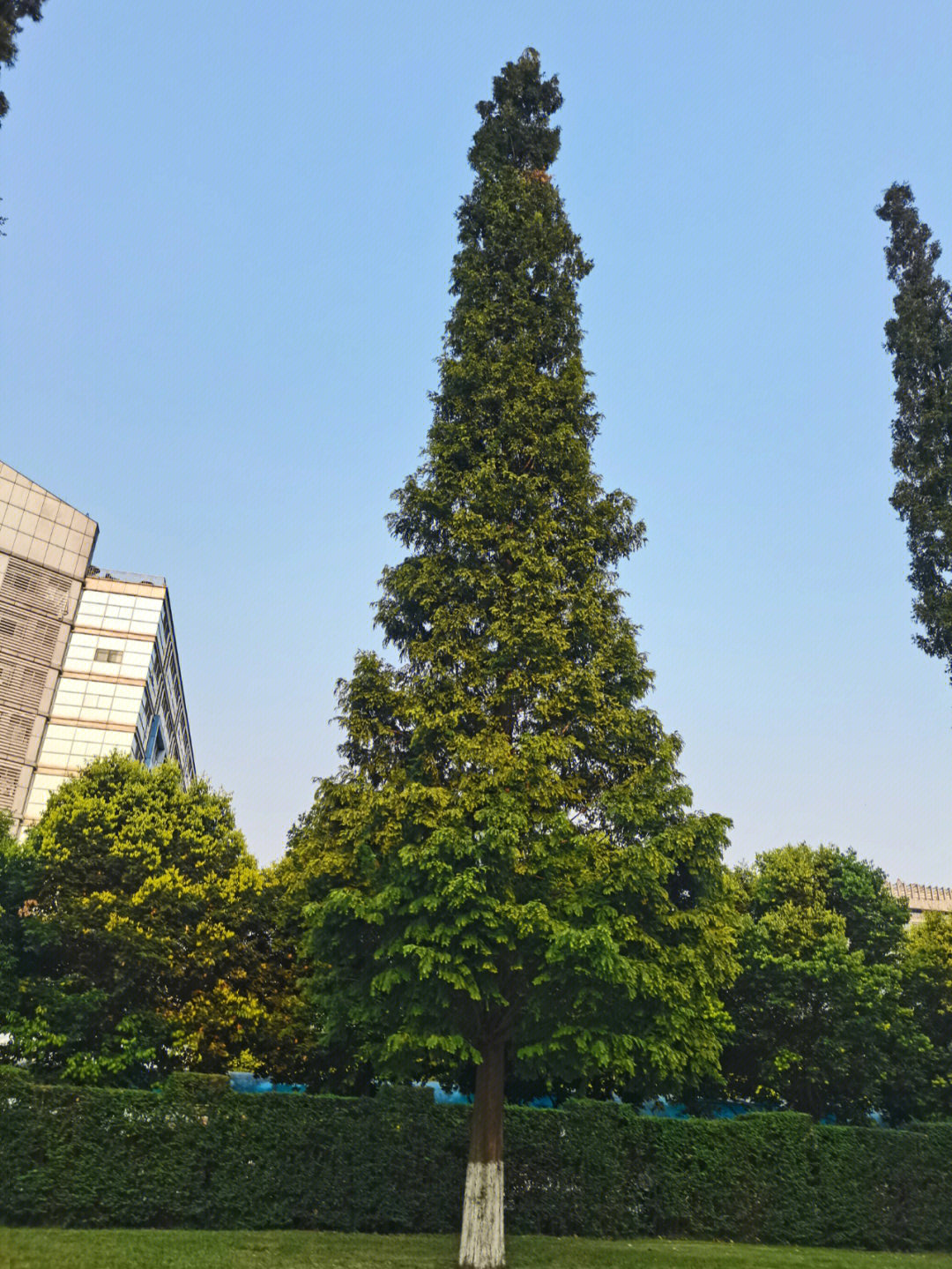 四川农业大学新生报到问题解答