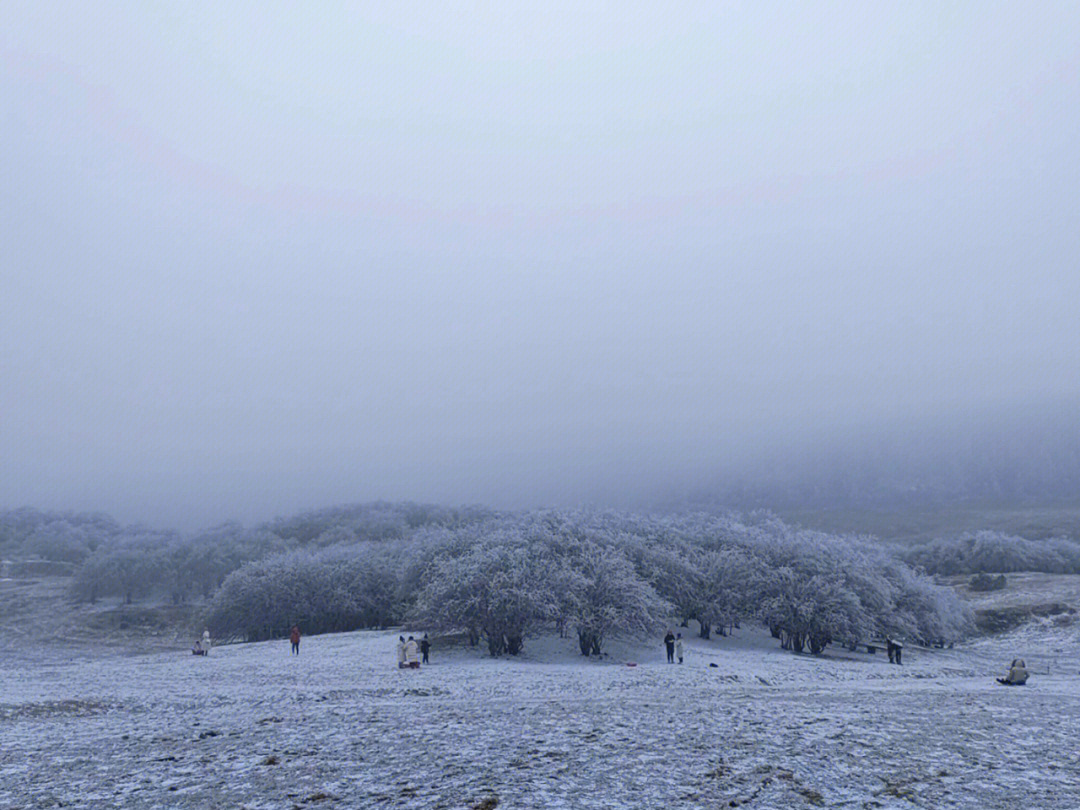 一起去看雪76吧仙女山游记78