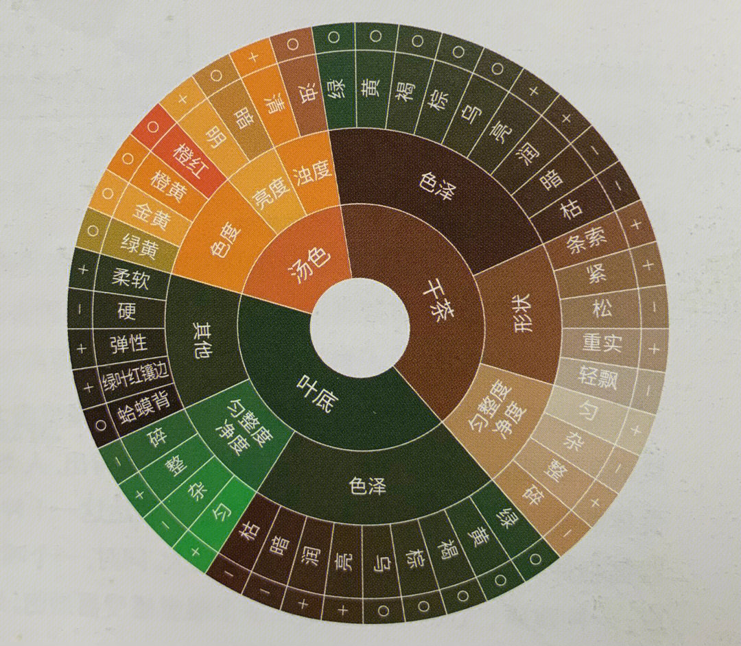 茶叶风味轮高清图图片