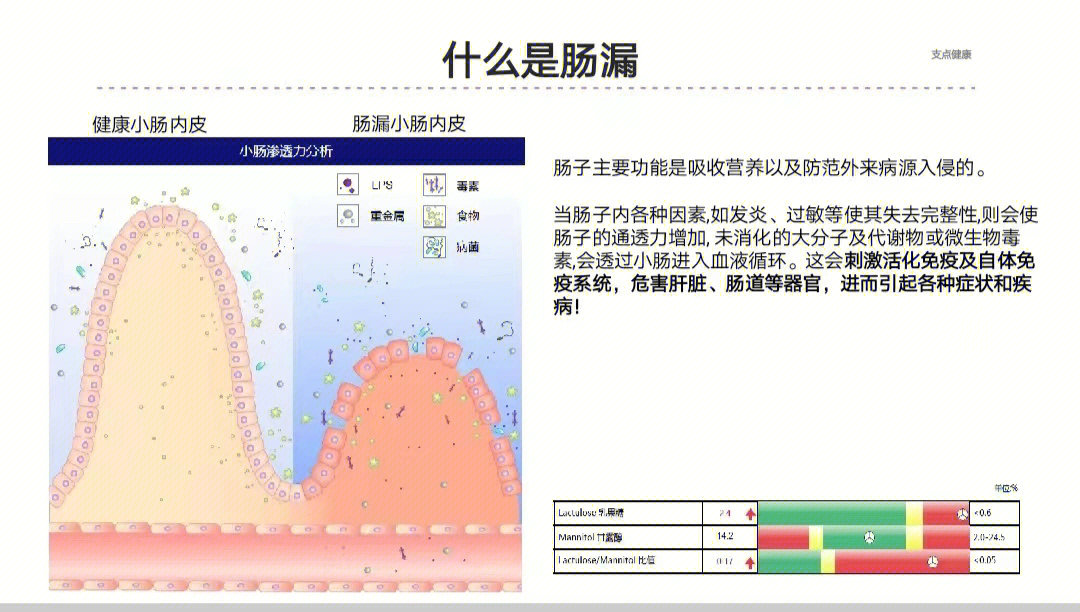 73什么是肠漏72