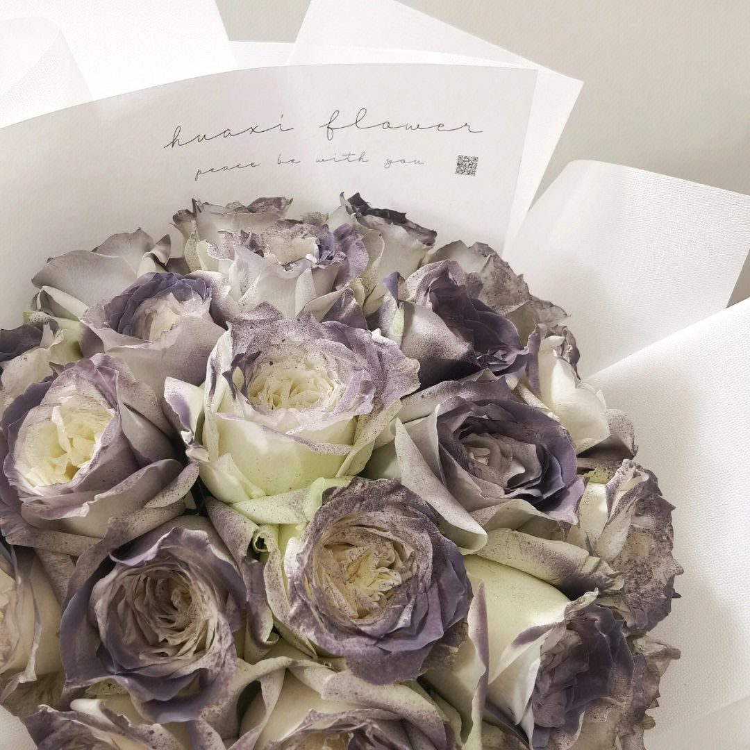 紫灰玫瑰花语图片