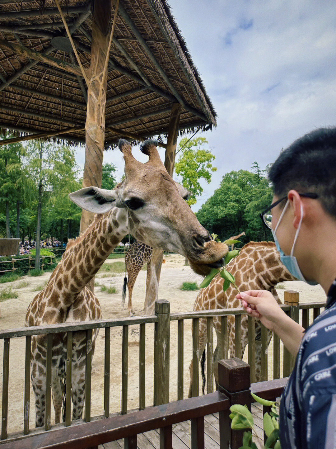 上海动物园简介图片