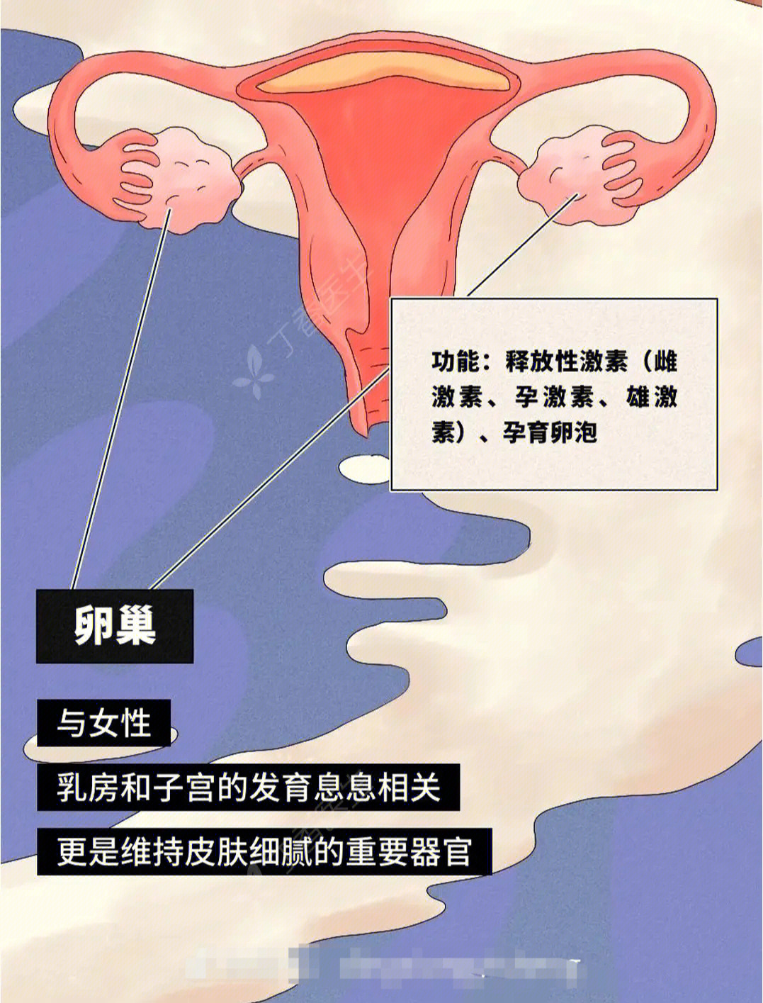 女性必须要知道的卵巢真相60