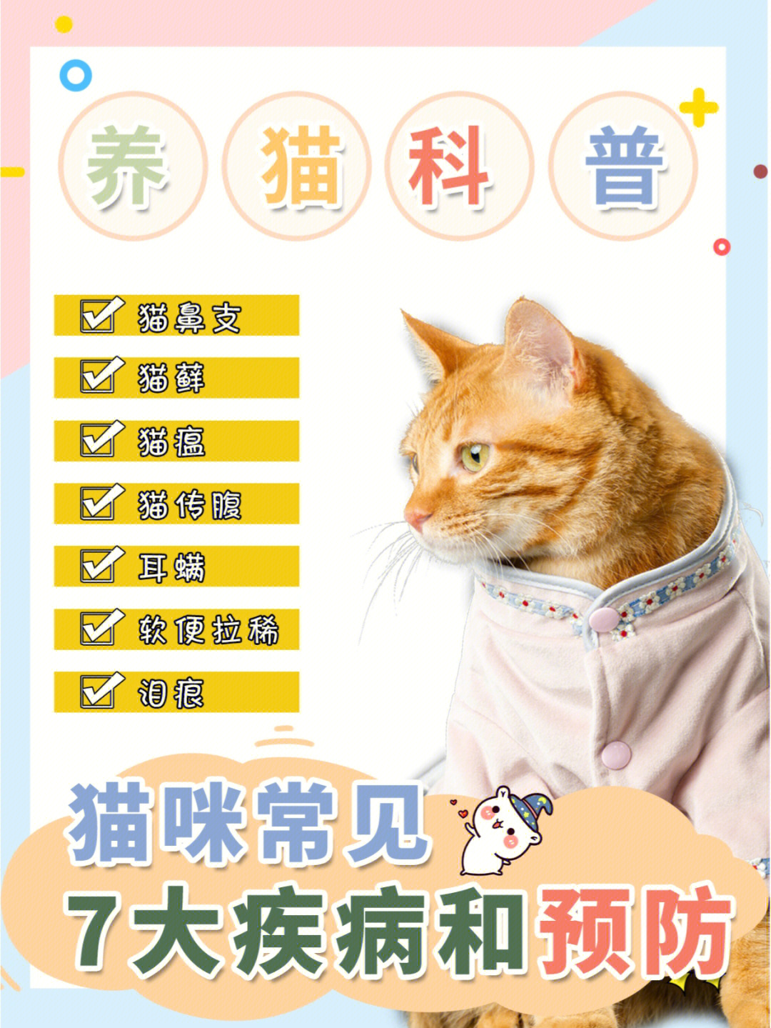 养猫科普猫咪常见7大疾病和预防