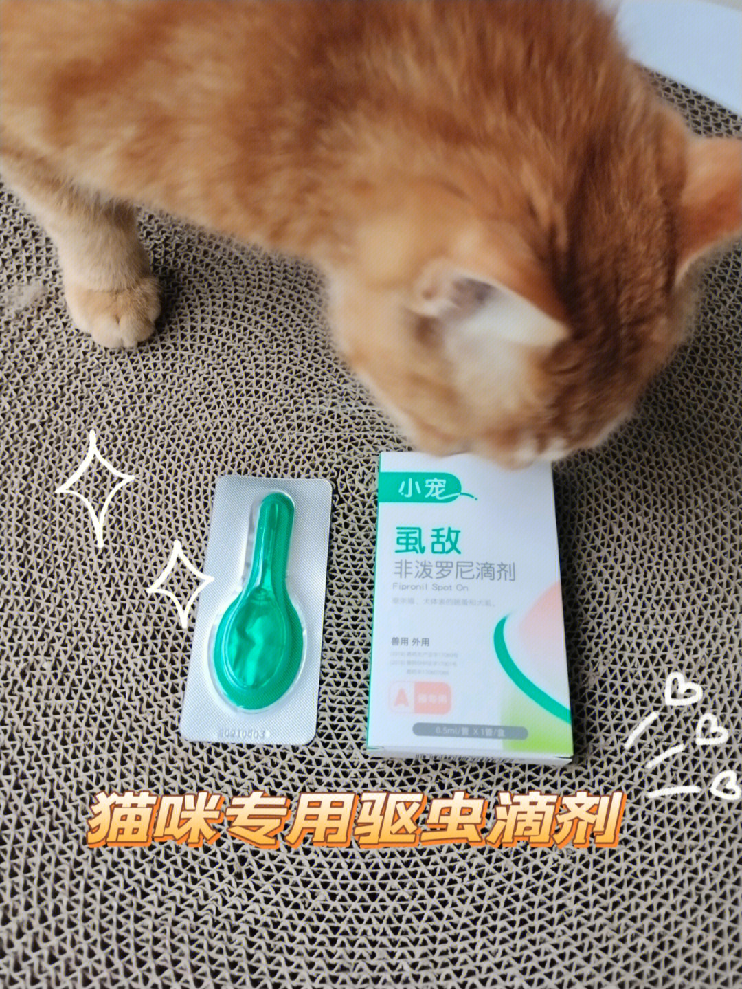 非泼罗尼喷剂猫舔了图片