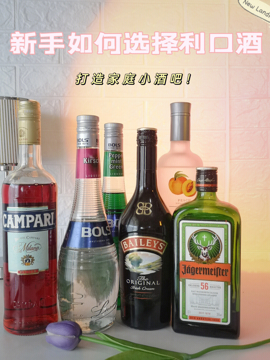 酒吧酒的种类及照片图片