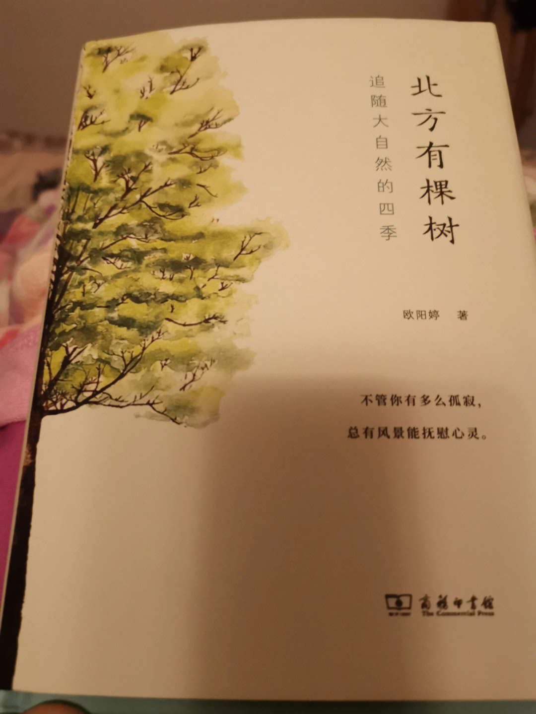 一年百本书计划第68欧阳婷北方有棵树