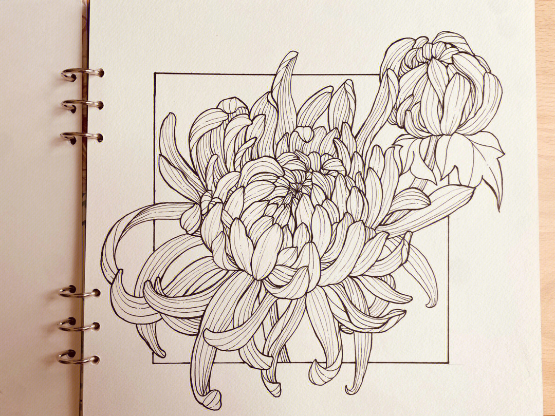 线描画花朵复杂图片