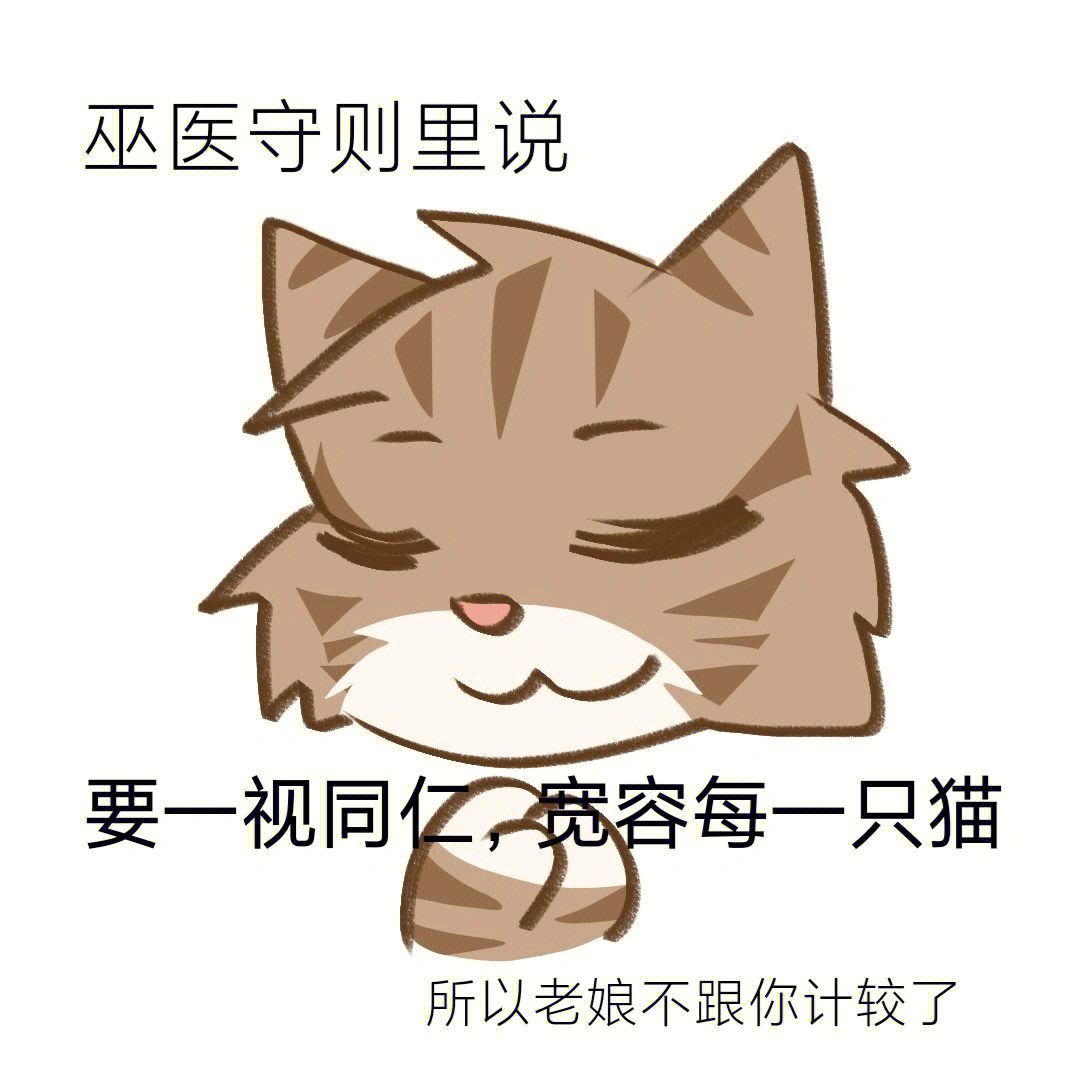 猫武士雨图片