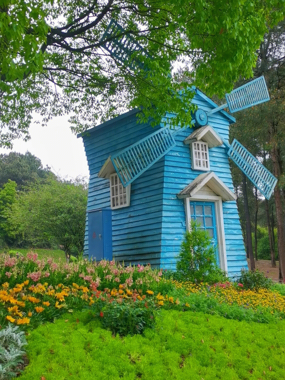 铁山坪森林公园