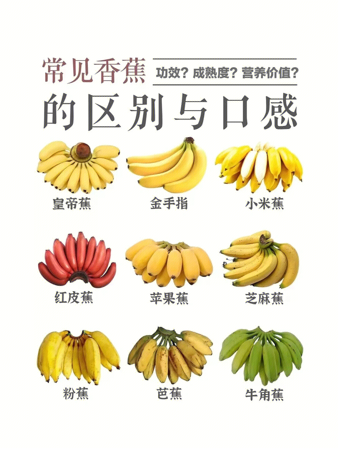 香蕉说明书