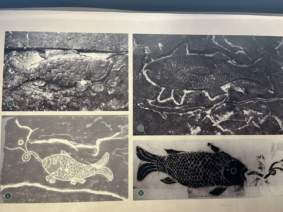 白鹤梁水下博物馆石鱼图片