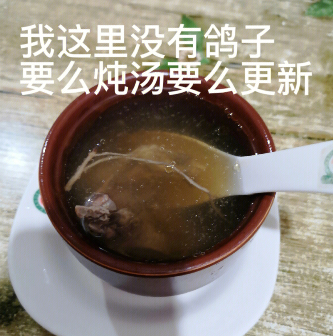 鸽子汤表情包图片