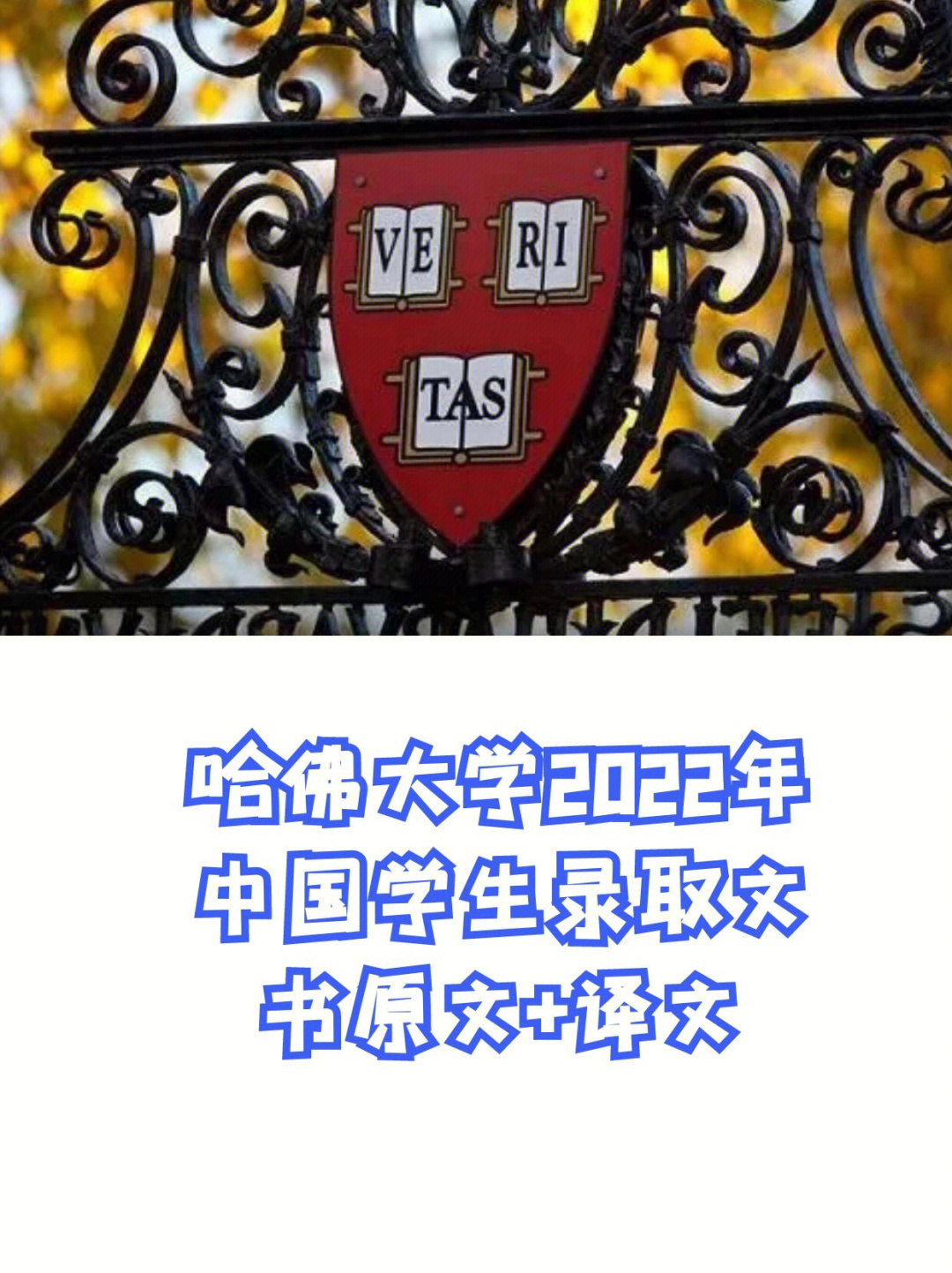 中国哈佛大学哈尔滨图片