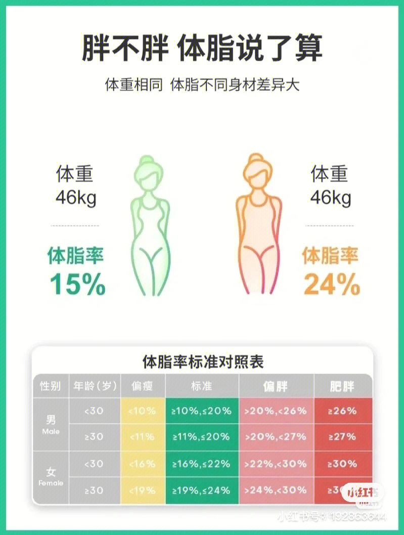 bmi体脂率对照表 女性图片