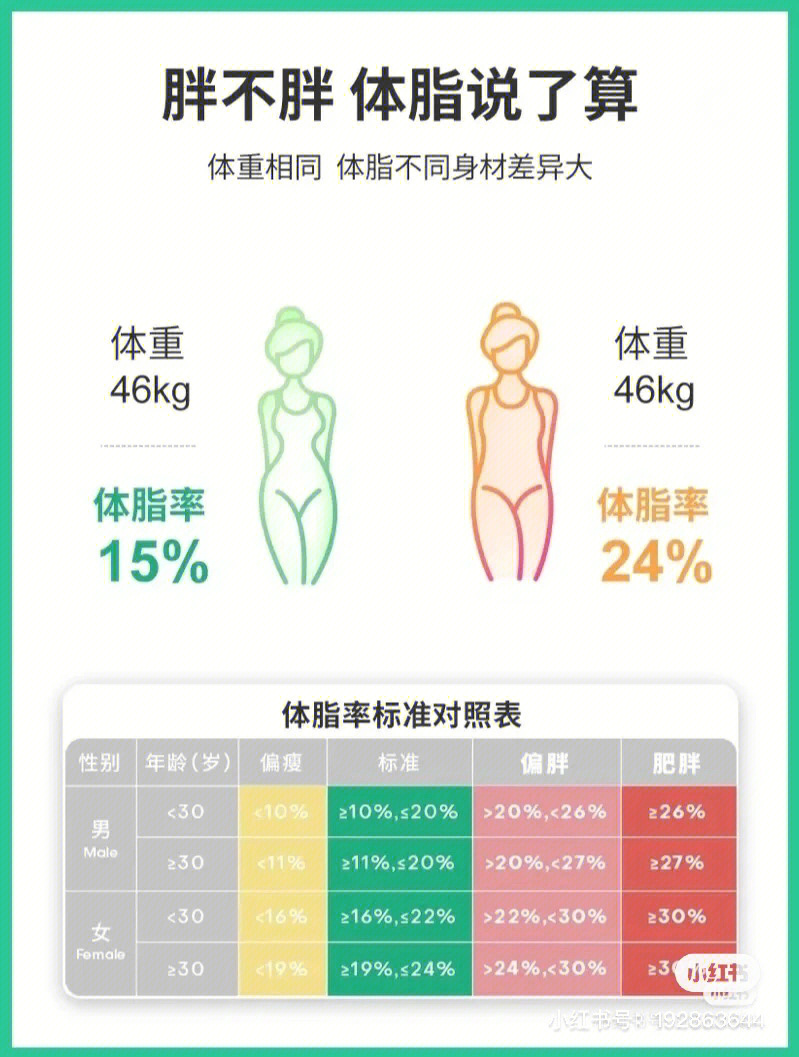 标准体脂率对照表图片