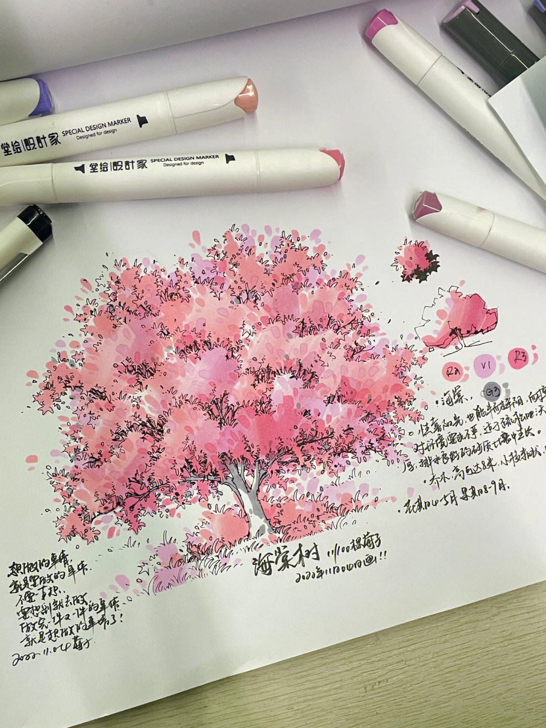海棠树马克笔上色步骤画11100颗手绘植物