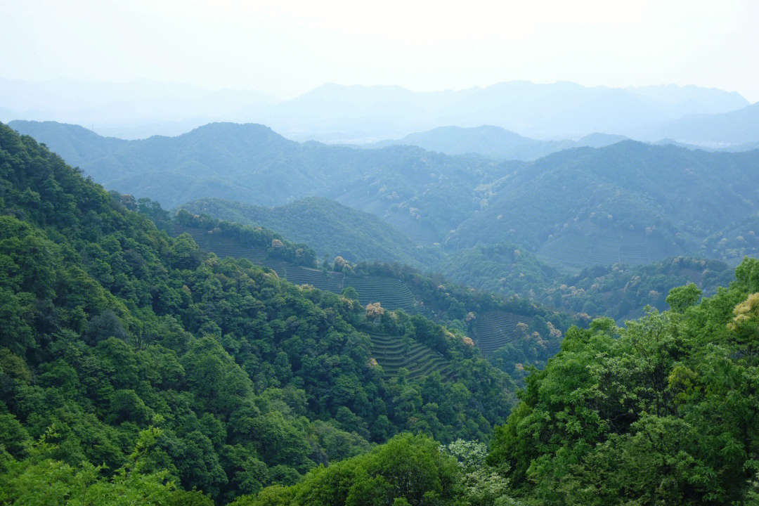 每周一山在十里琅珰邂逅春日里的无尽绿色