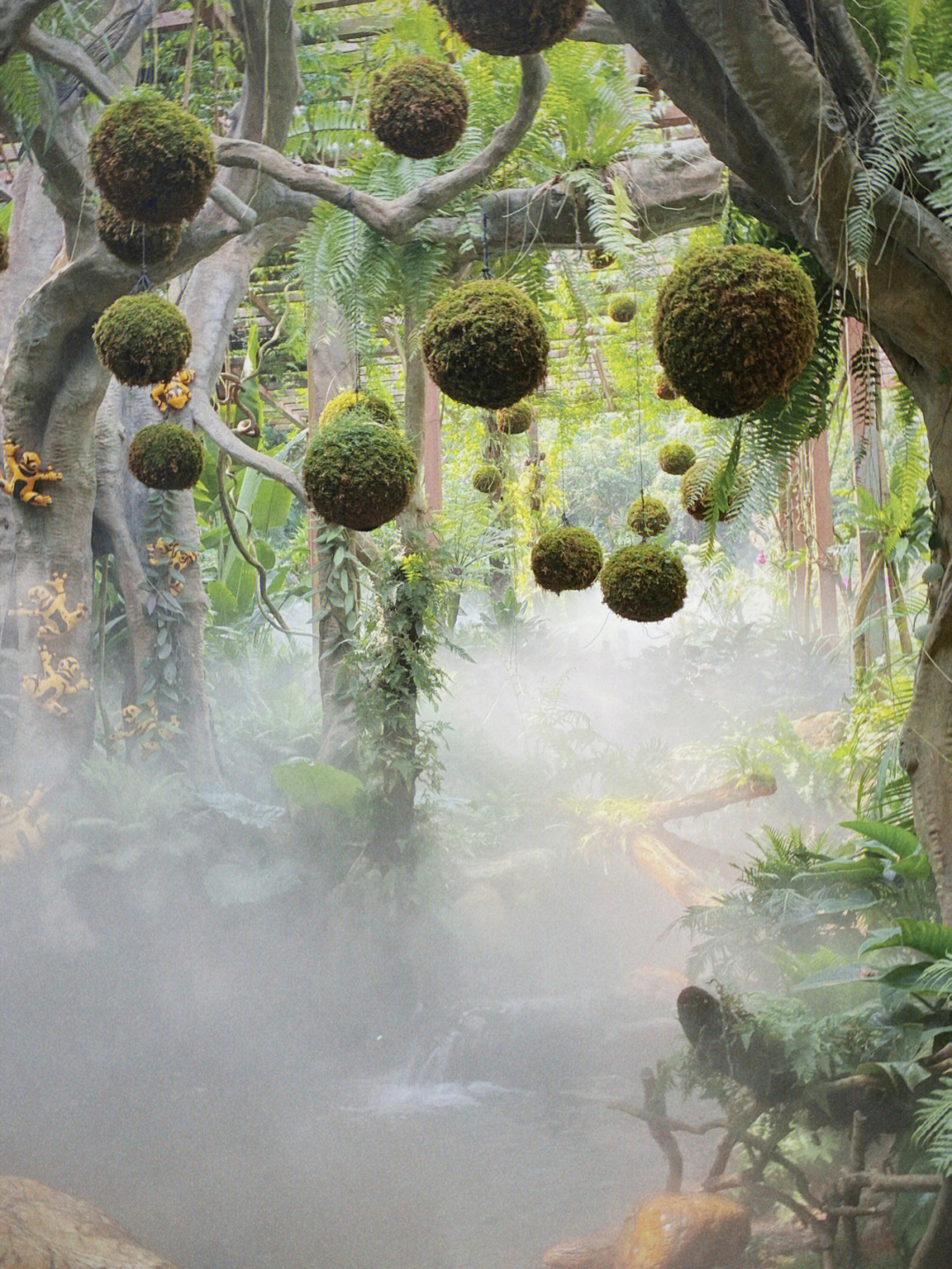 青秀山荫生植物园图片