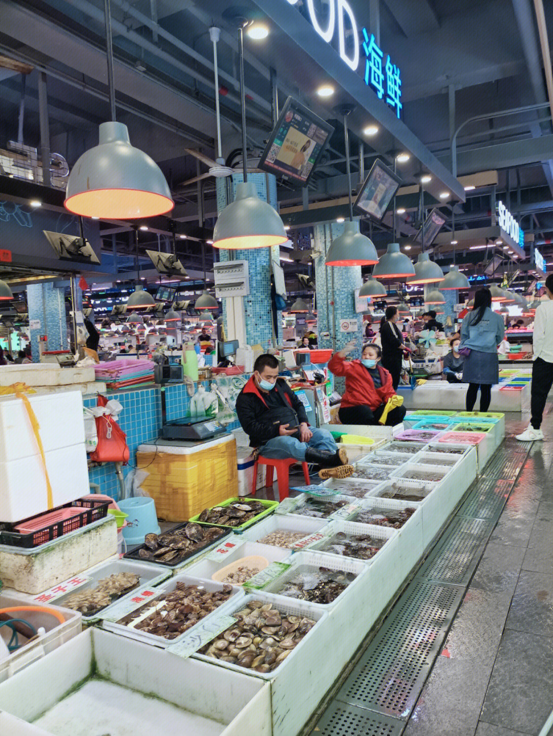 蛇口海鲜市场图片