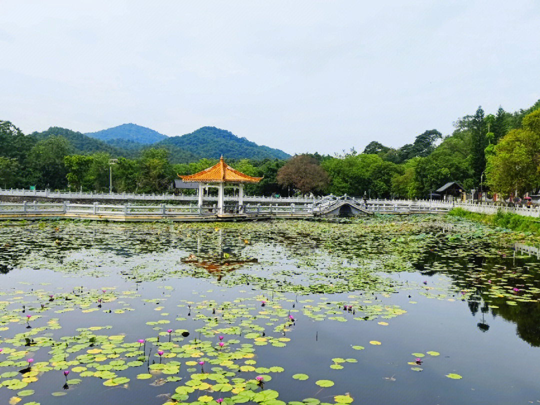 花都自驾一日游