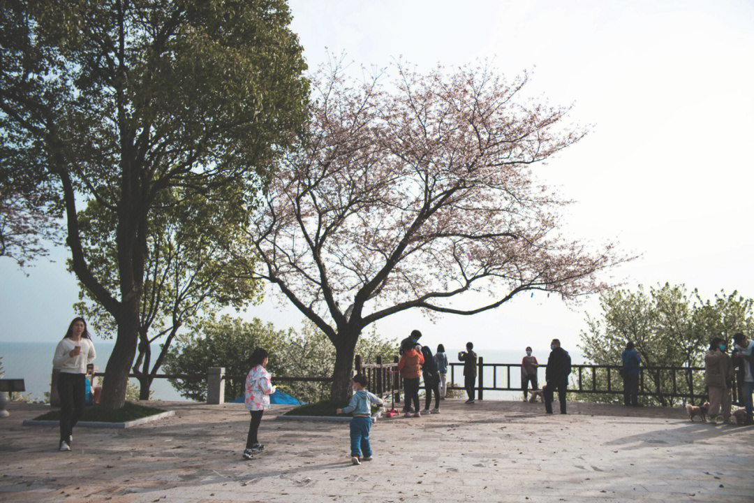 红沙湾农家乐图片