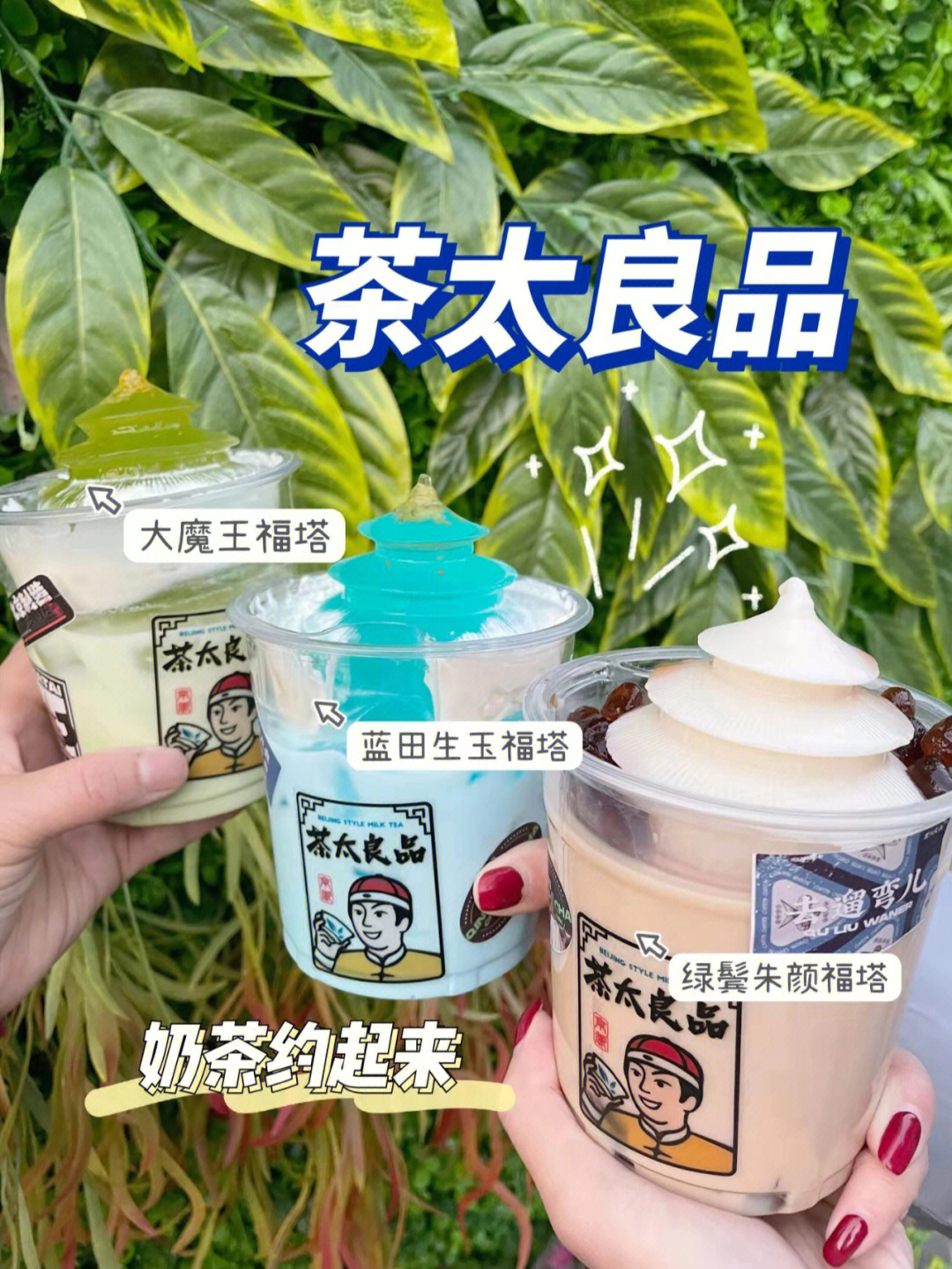 我说的就是茶太良品.