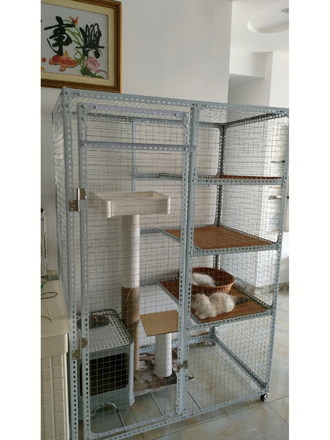 自制猫笼子材料教程图片