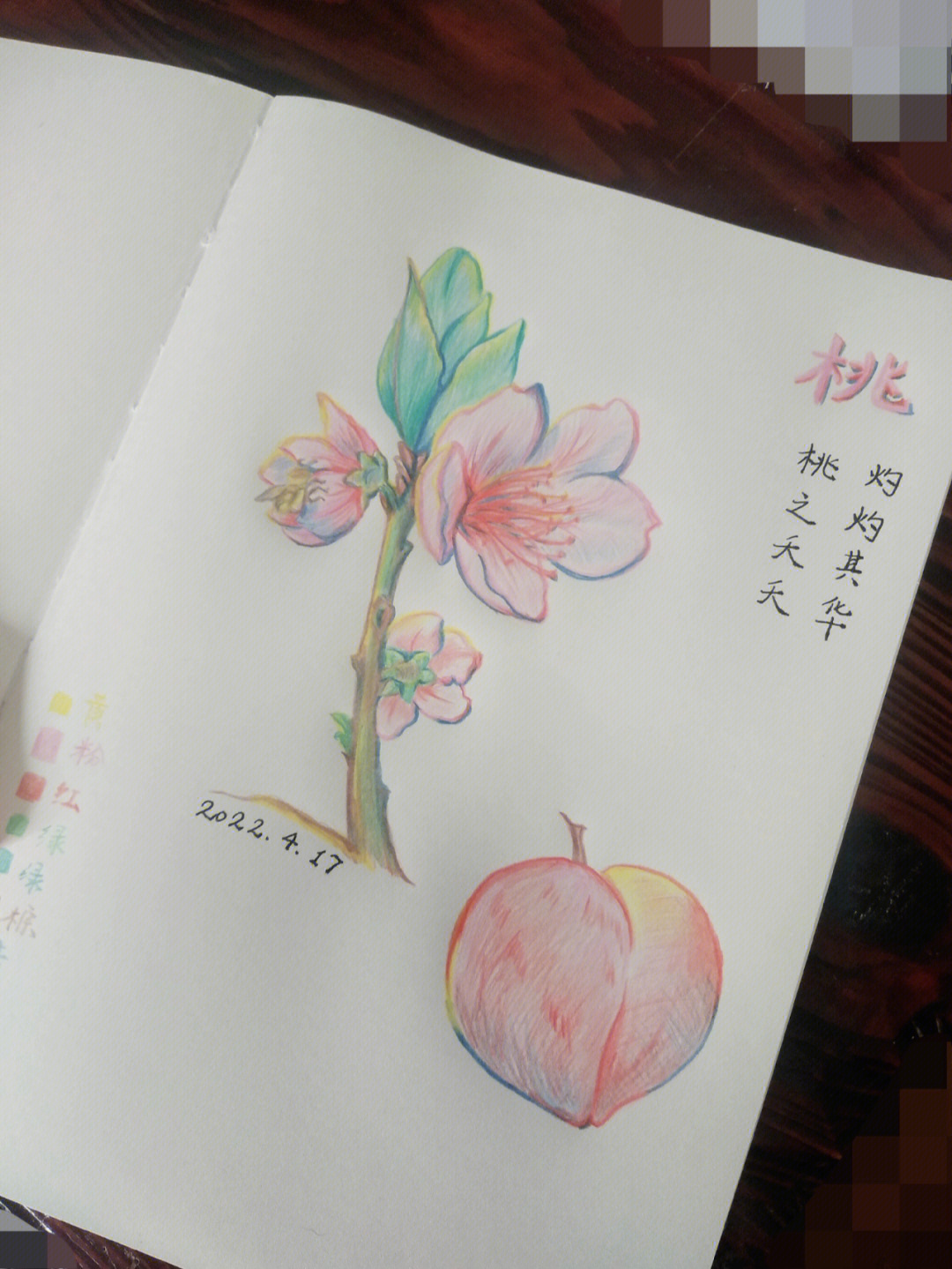 桃花树图片手绘彩铅画图片