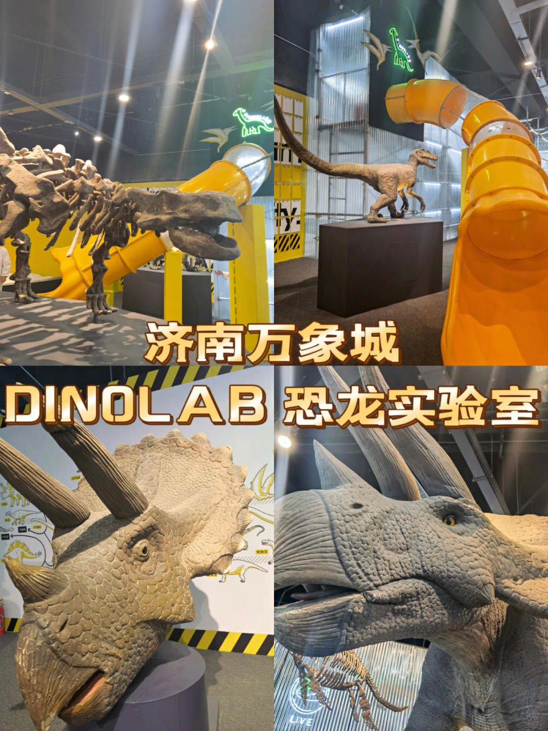 中国实验室孵化恐龙图片