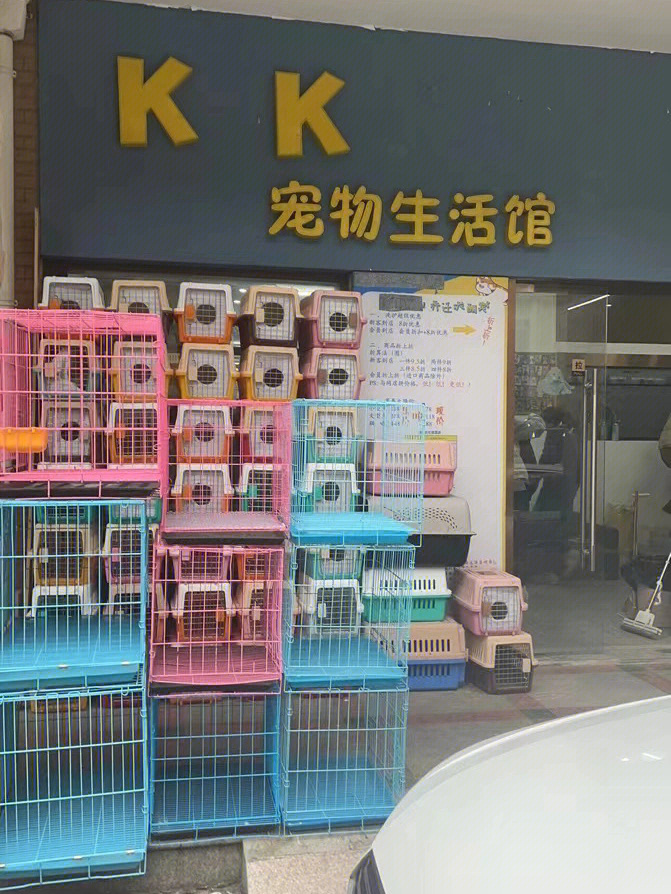 上海一家宠物店卖病猫