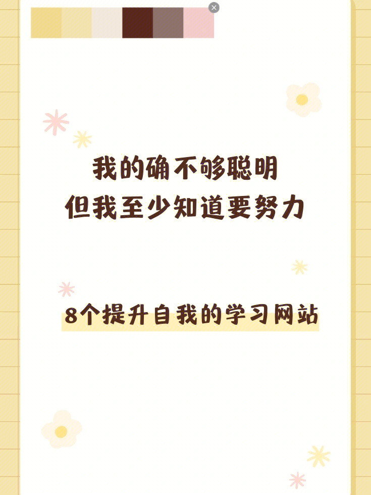 宝藏网站608个让你悄悄变优秀的网站