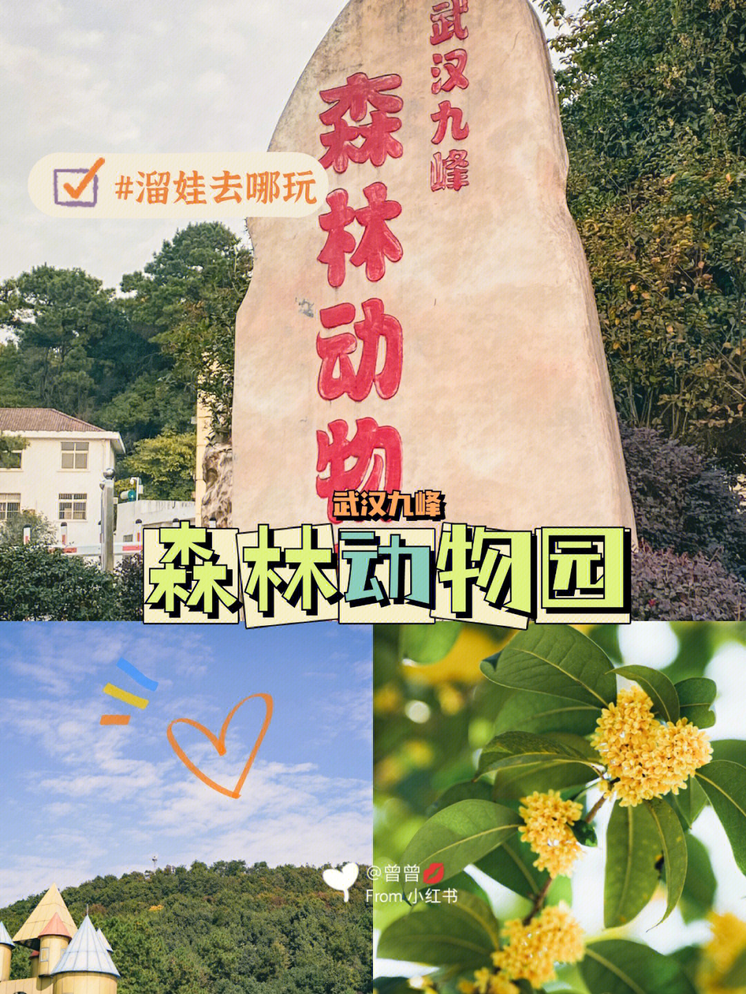 武汉亲子游九峰森林动物园