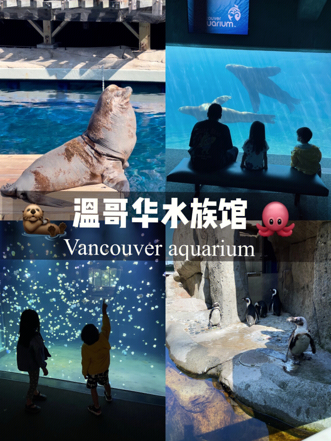 温哥华水族馆重新开放啦07