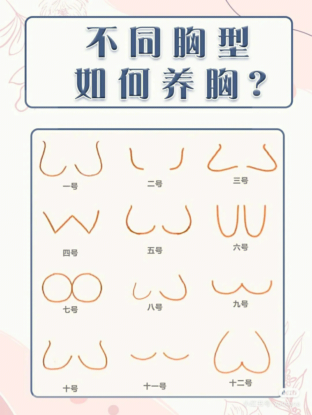 乳房形状分为图片