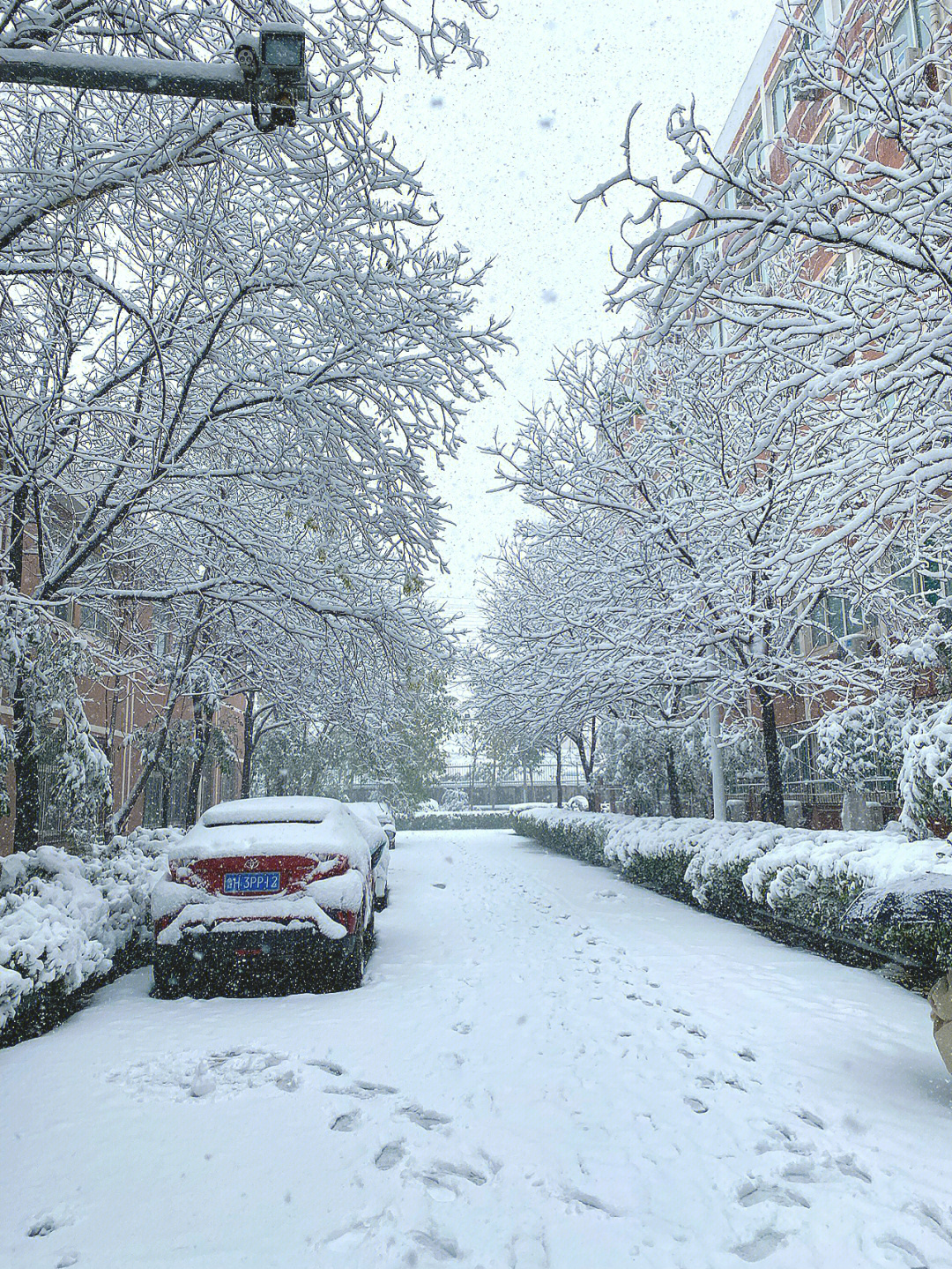 济南小雪景图片