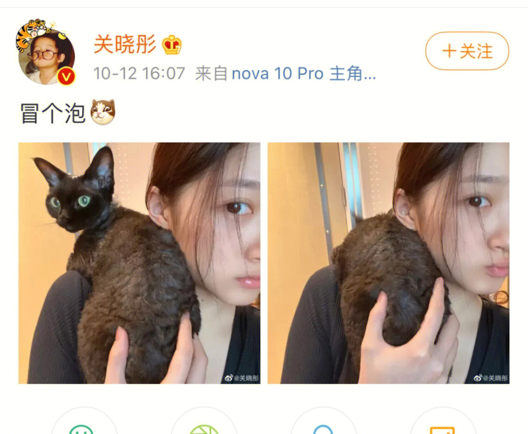 关晓彤德文猫图片