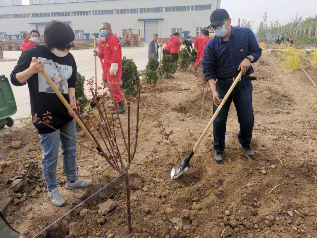 公司开展义务植树活动,中心员工积极参与.