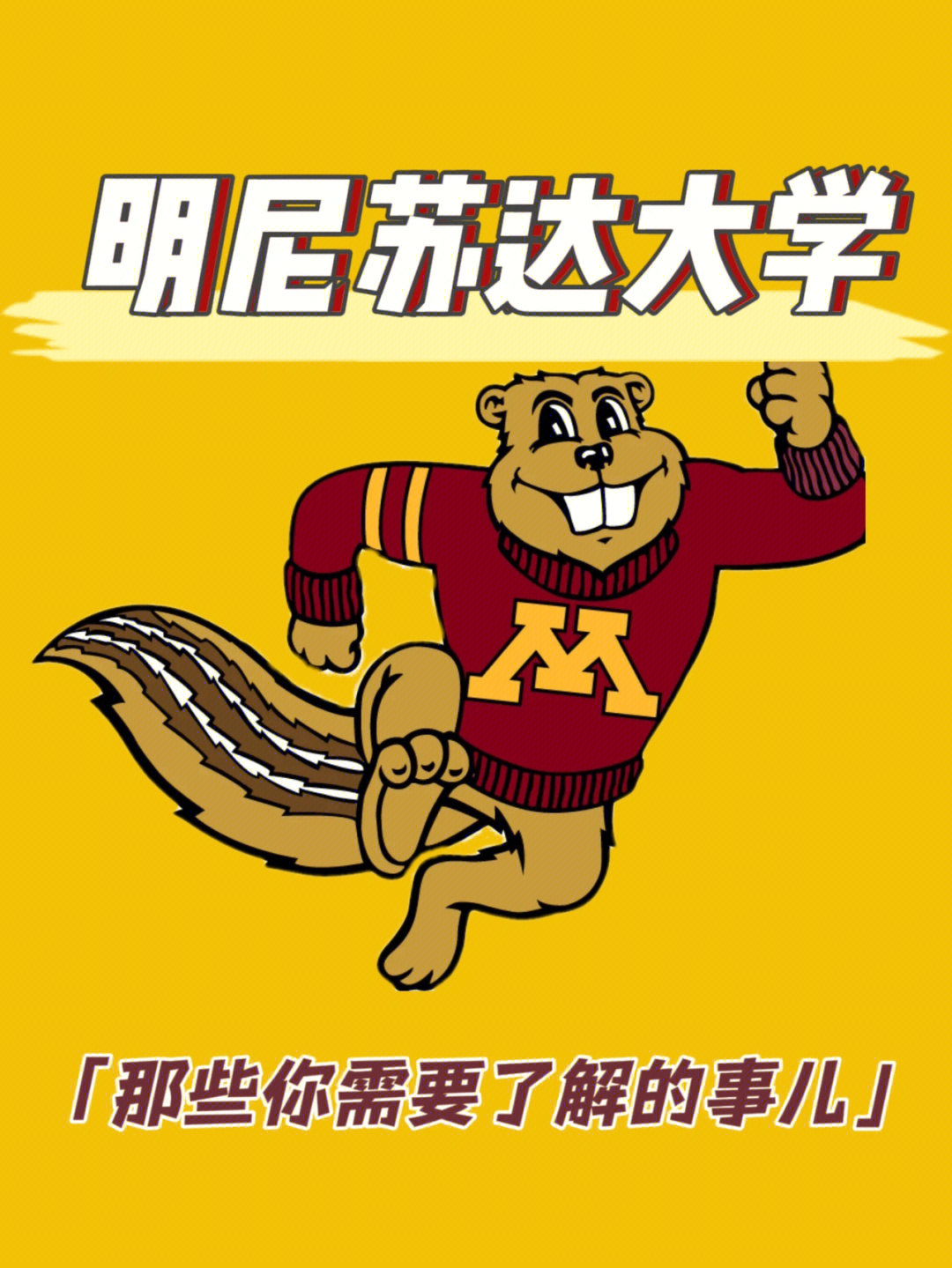 明尼苏达大学地图图片