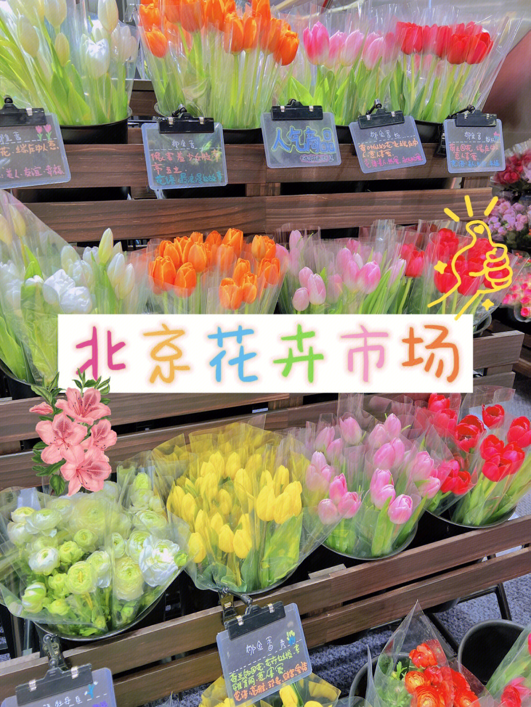 北京六家宝藏花卉市场实现鲜花自由