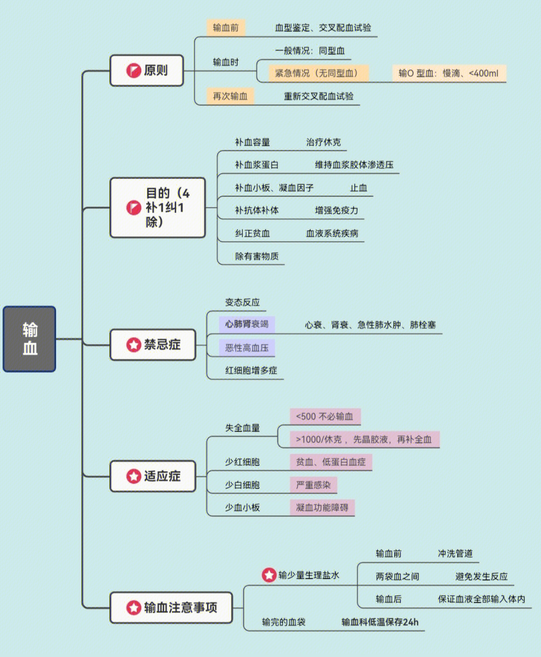 全身静脉分支思维导图图片