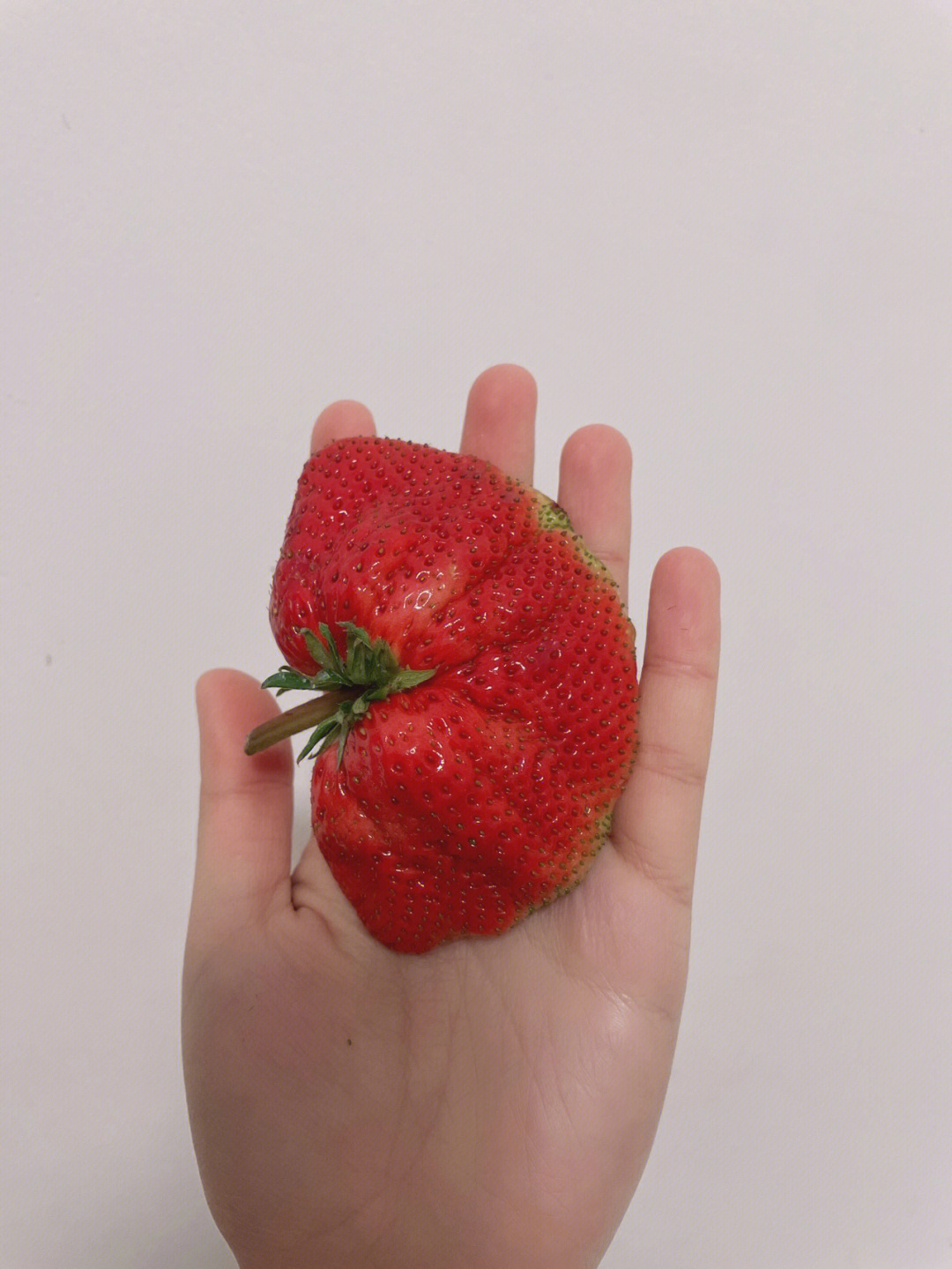 多倍体草莓空心图片