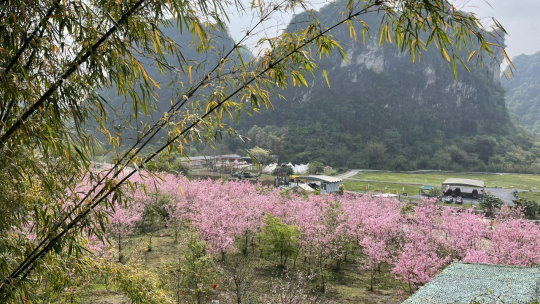 广州周边游峰林晓镇