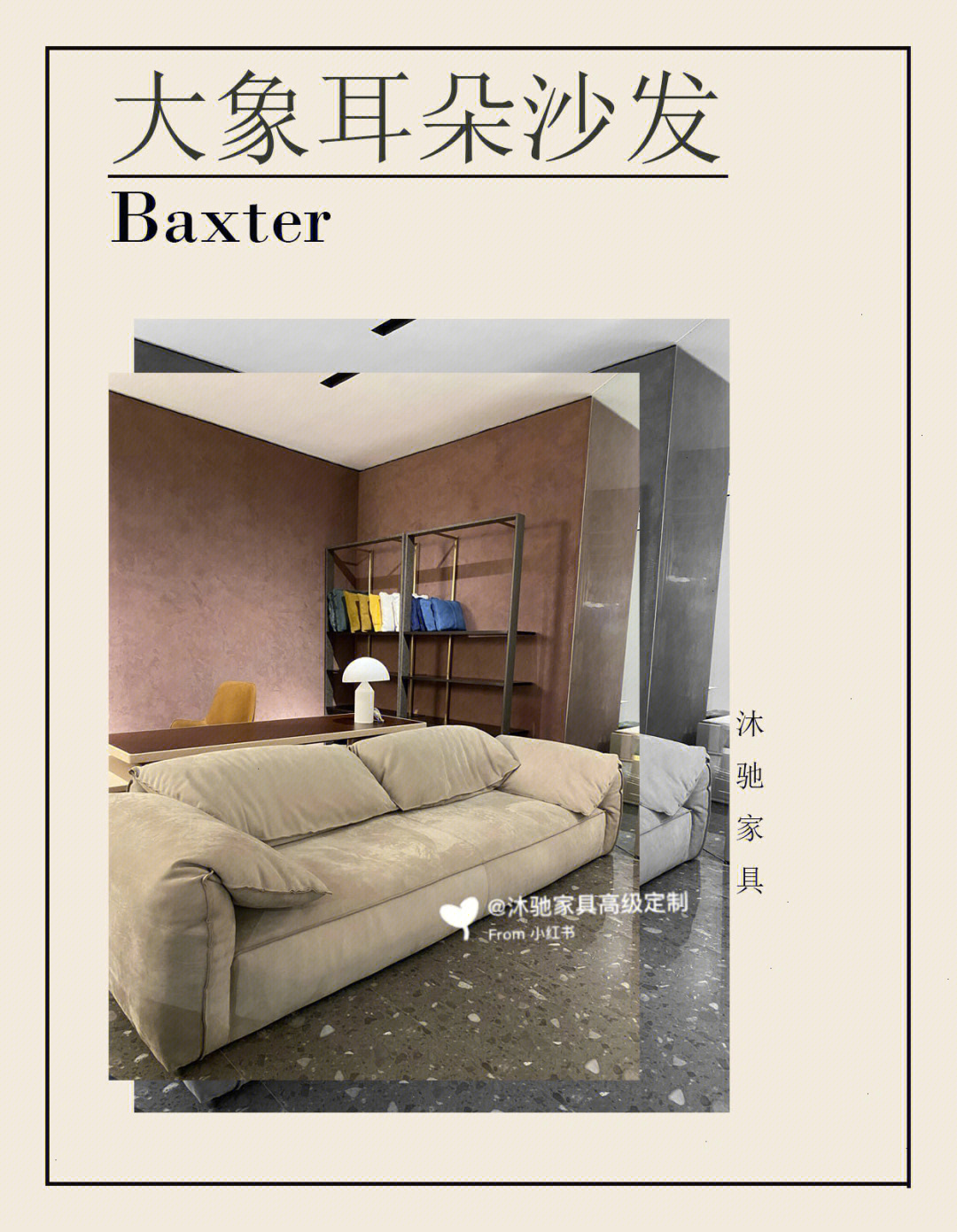 baxter中文图片