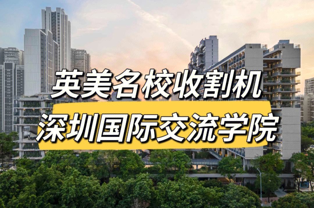 深圳国际交流学院校徽图片