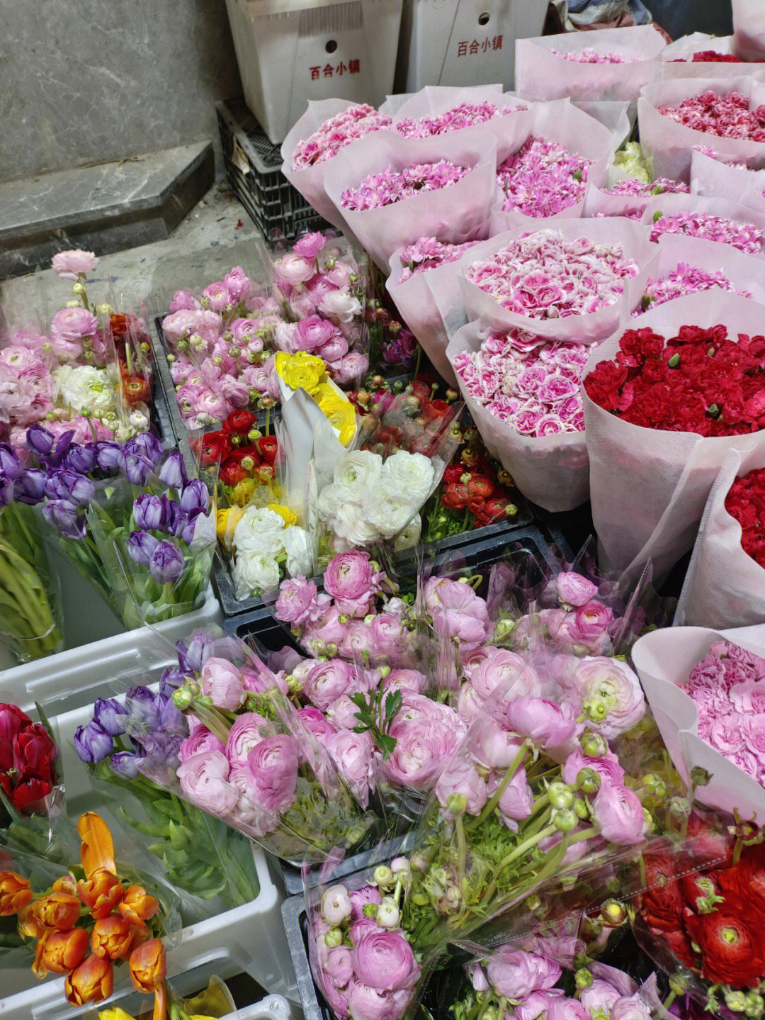 鲜花记录 逛逛岭南花卉市场